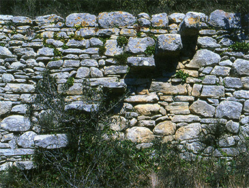 pierre12-373.jpg pierre12-373.jpg