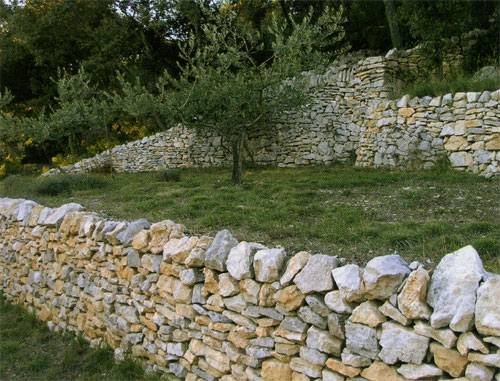 pierre2-373.jpg