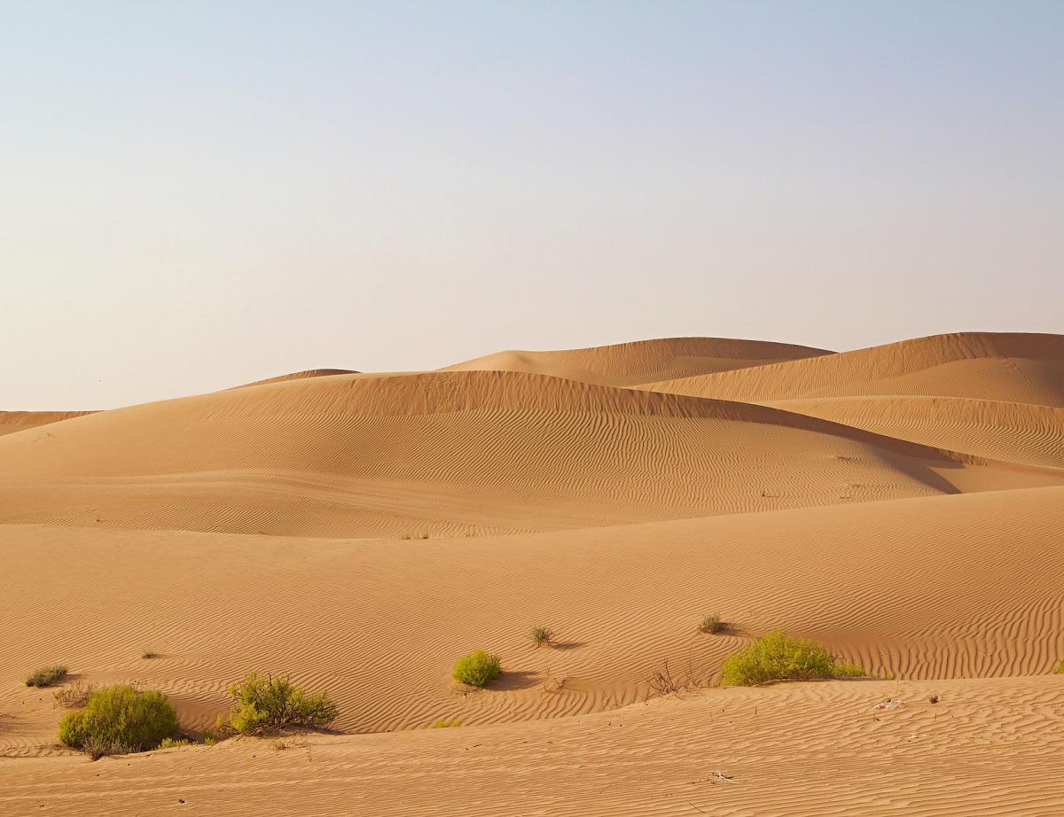 La centrale solaire la plus puissante au monde verra le jour à Abu Dhabi