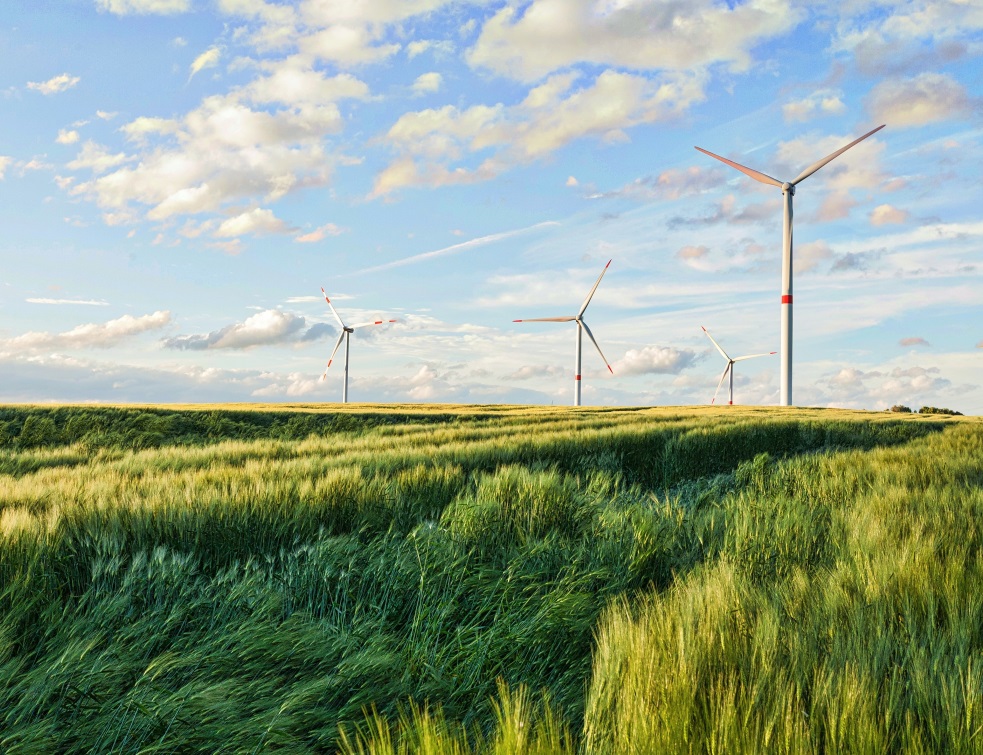 Recours des écologistes contre une subvention aux anti-éoliennes dans les Hauts-de-France