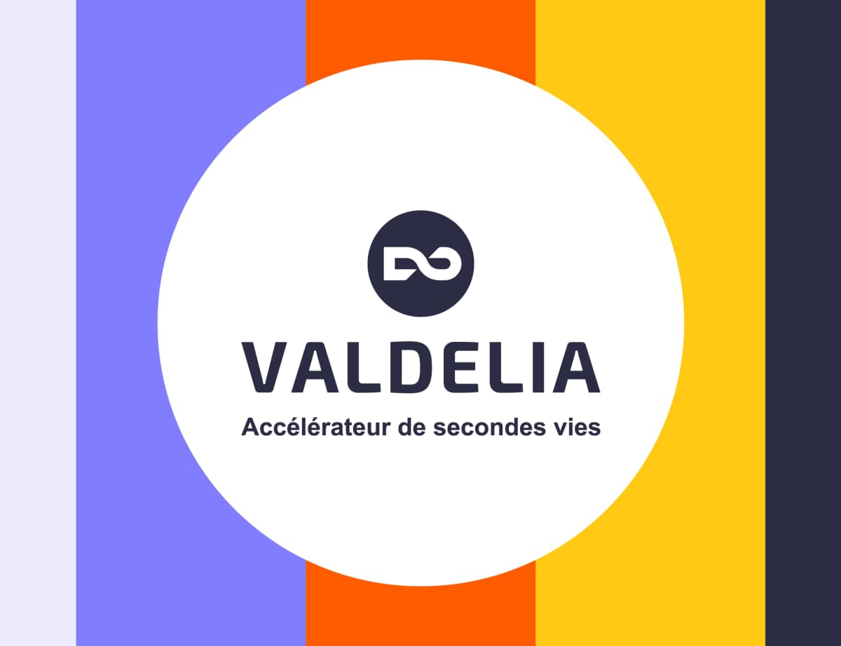 Une nouvelle identité visuelle pour l'éco-organisme Valdelia