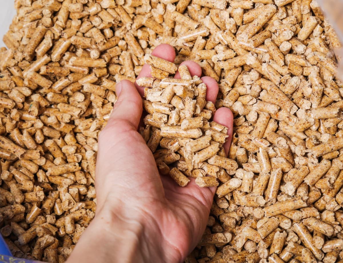 Les chèques fioul et bois prolongés pour les ménages