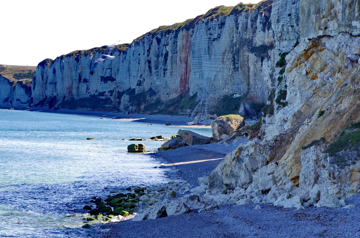 Comment faire face au changement climatique ?