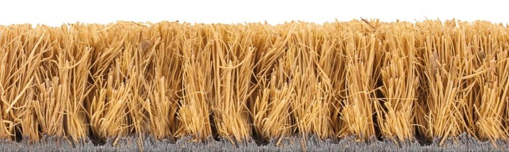 BENOIT LE TAPIS BROSSE