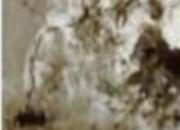 Matériel d'injection remontées capillaires