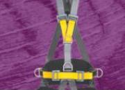 Harnais Grand Confort