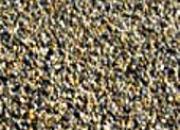 Les granulats marins