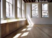 Mélèze avec noeuds