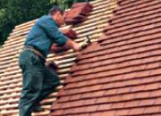 Tuile sablée marais