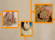 Chauffage granulats bois