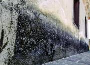 Minéralisant Guard® RC