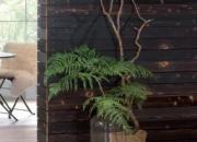 FLAM10 / FLAMON10 / FLAMTEC10