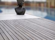 ALPINGRAV10 / APEXGRAV10