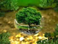  Le développement durable : économie circulaire et énergies renouvelables