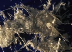 Amiante: une séance en cassation décisive le 12 juin