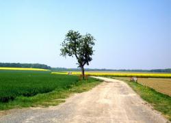 Une commune aussi peut s'approprier un bien