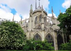 Notre-Dame : 1.000 experts appellent à éviter la 