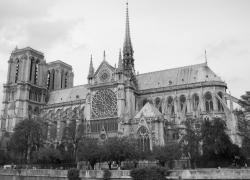 Restauration de Notre-Dame: les Français 