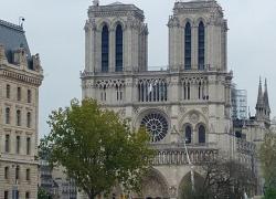 Un projet de cathédrale éphémère devant Notre-Dame