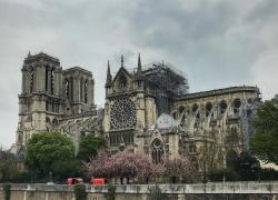 Notre-Dame: le ministère rappelle 