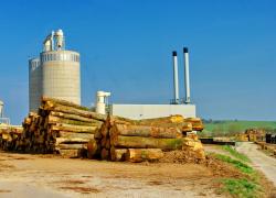 Bois énergie : quelle peut-être sa place dans le bilan énergétique français ?