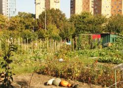 JO-2024: évacuation des occupants des jardins ouvriers d'Aubervilliers