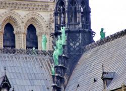 Début du sciage de huit chênes exceptionnels destinés à Notre-Dame de Paris