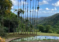 L’OPPBTP s’installe en Guadeloupe, Guyane et Martinique