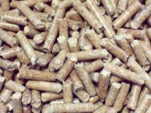 Investissements record et innovation chez Poujoulat