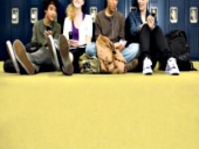 TARALAY PREMIUM COMPACT