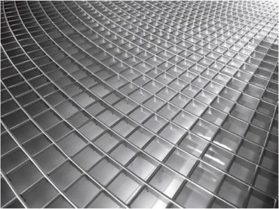 CAILLEBOTIS RAYONNANT