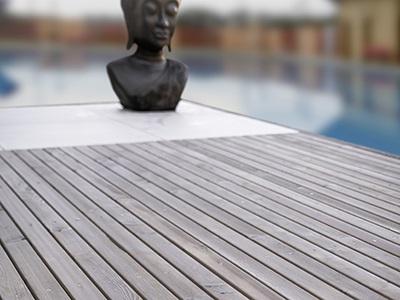 ALPINGRAV10 / APEXGRAV10