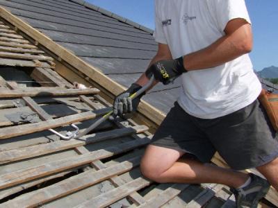 Arrache-liteaux Metsäpro