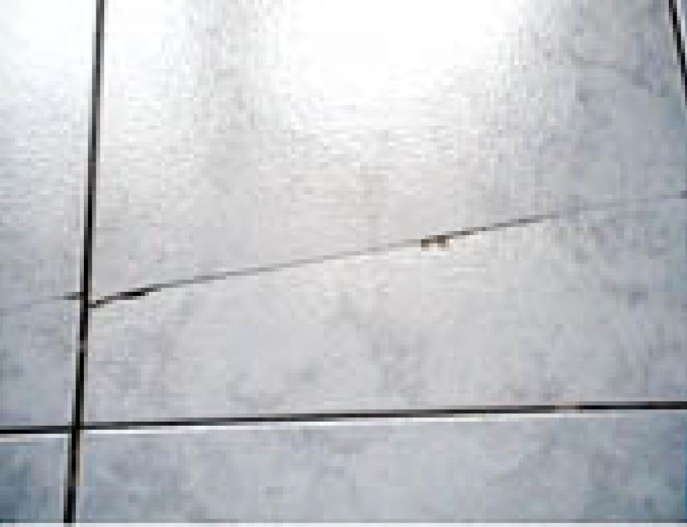 Un Carrelage Qui Fait Des Vagues Sinistre A La Loupe Revetements De
