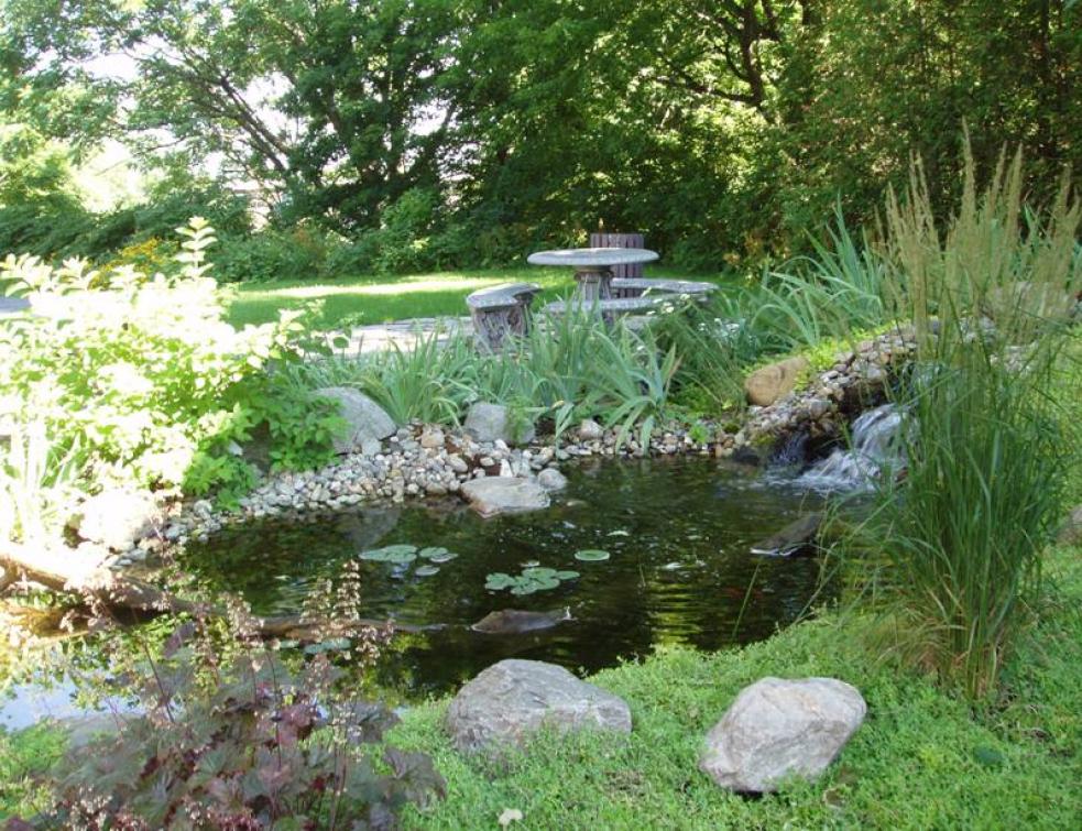 Les européens sont accros de leurs jardins, devant la cuisine