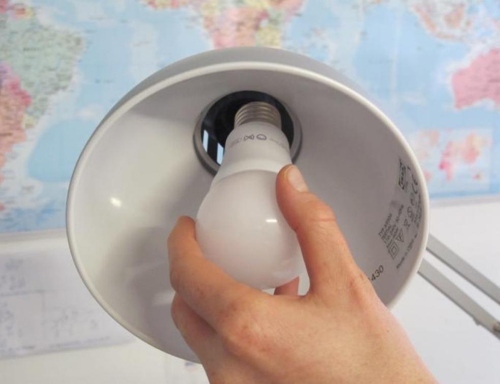 demander camp Limace de mer ampoule fluorescente danger gardemanger