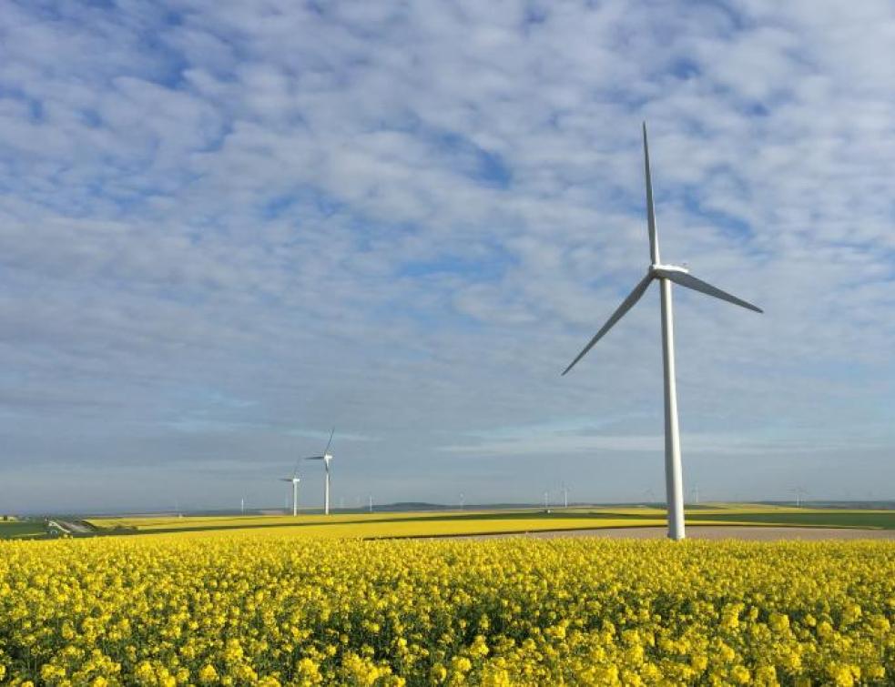 brassière de maintien