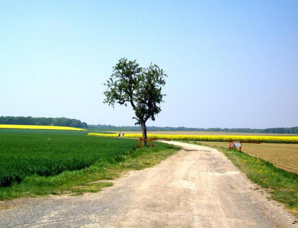 Une commune aussi peut s'approprier un bien