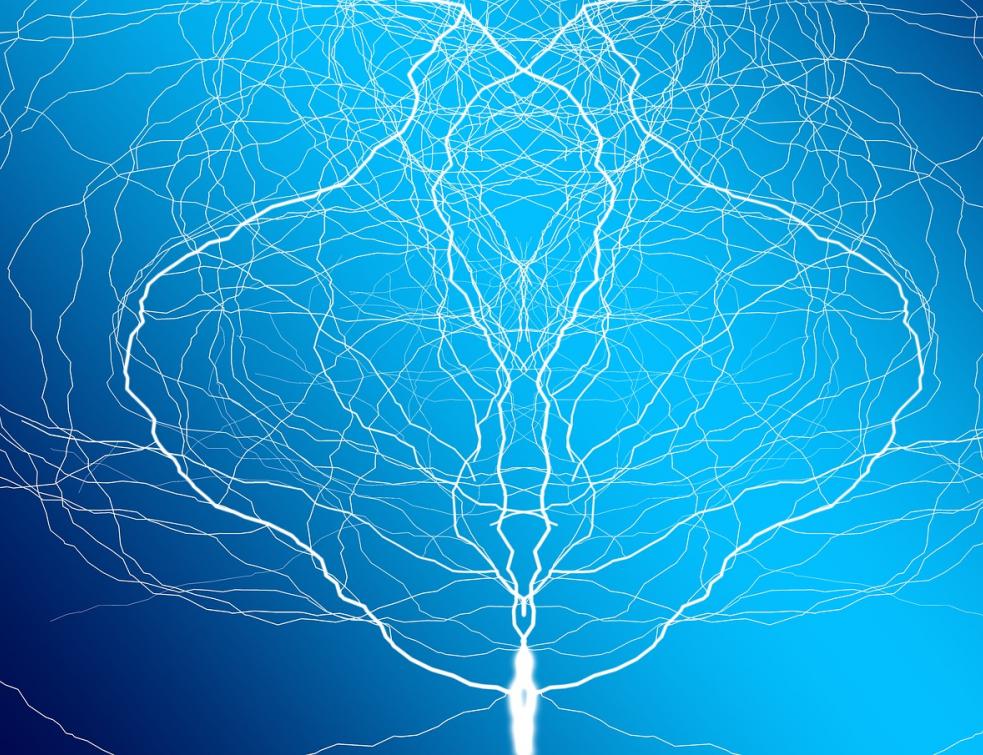 Electricité renouvelable : premier contrat de vente directe à clients multiples