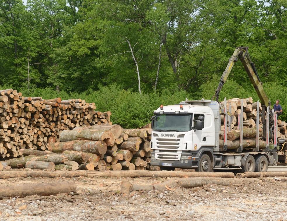 Installation appareils bois indépendants : ce qu'il faut savoir